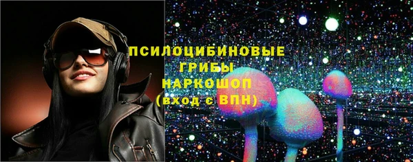 mdpv Волоколамск